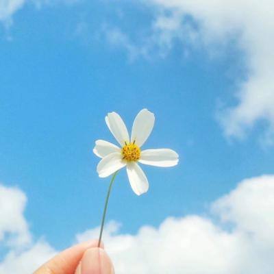 合乐888下载手机版截图