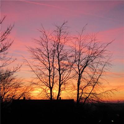 火狐体育APP手机app下载