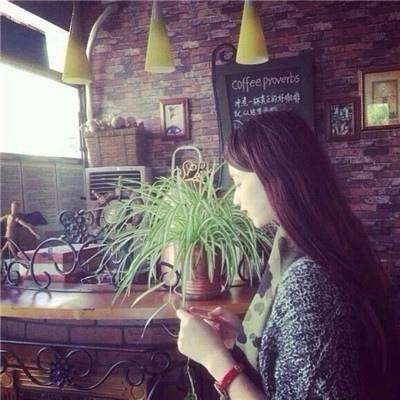 半岛·综合中国官方网站